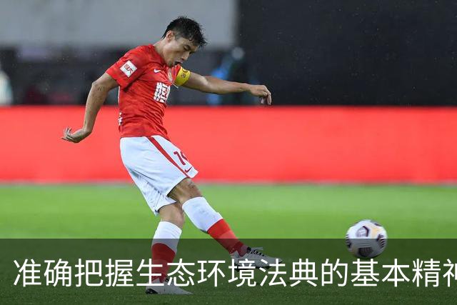 准确把握生态环境法典的基本精神和实践要求（人民要论）