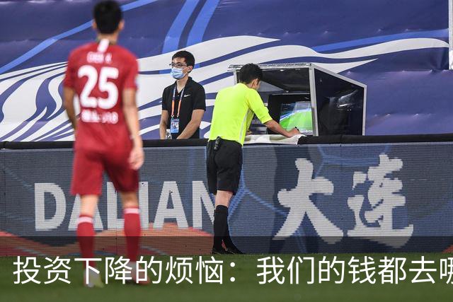 投资下降的烦恼：我们的钱都去哪儿了？
