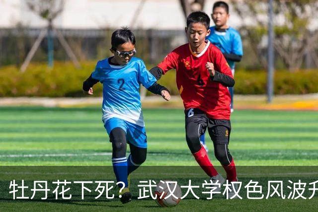 牡丹花下死？武汉大学权色风波升级，纪检核查，更荒唐的还在后面