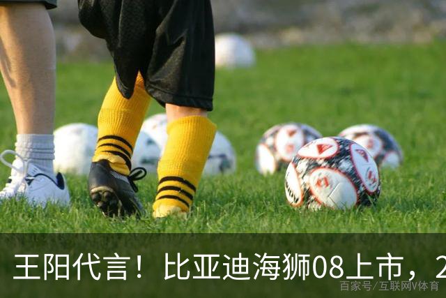王阳代言！比亚迪海狮08上市，22.99万起标配空悬