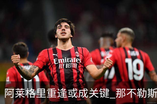 阿莱格里重逢或成关键 那不勒斯想签弗拉霍维奇 但得先送走卢卡库