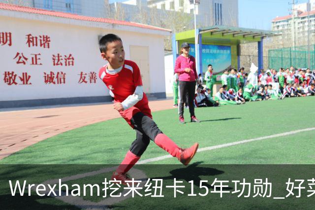 Wrexham挖来纽卡15年功勋 好菜坞老板布局英超野心藏不住了